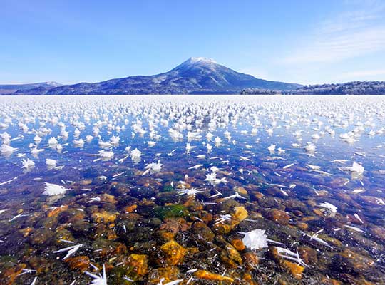 フロストフラワーの阿寒湖畔