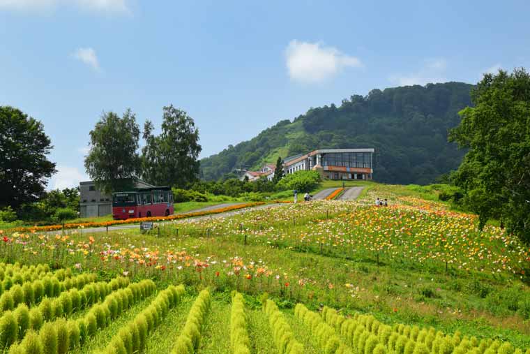 越後湯沢温泉 湯沢高原パノラマパーク・アルプの里