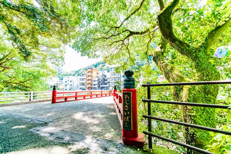 箱根湯本温泉 あじさい橋周辺