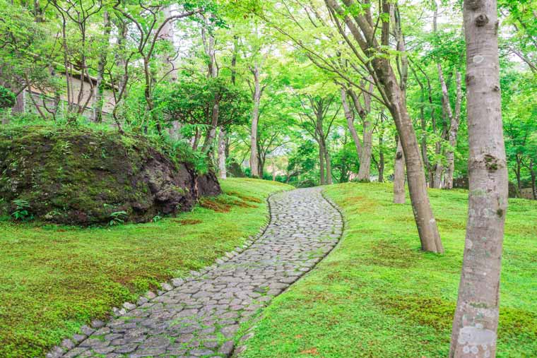 強羅温泉 箱根美術館　苔庭