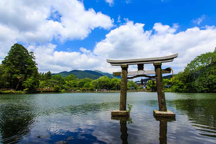 由布院温泉 新緑の金鱗湖