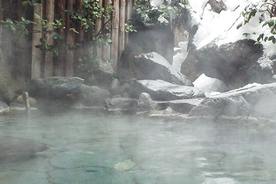 浅虫温泉　椿館