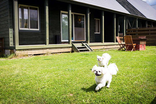 エンゼルフォレスト那須白河