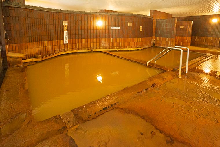 新安比温泉 静流閣