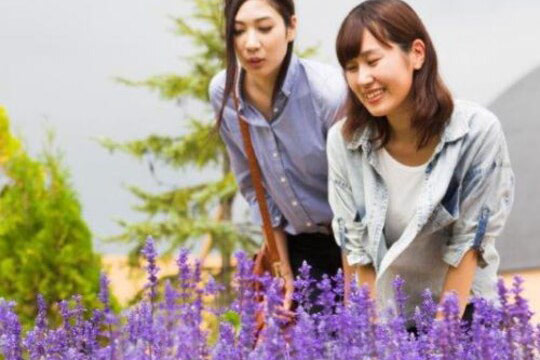 鶯宿温泉 ホテル森の風 鶯宿