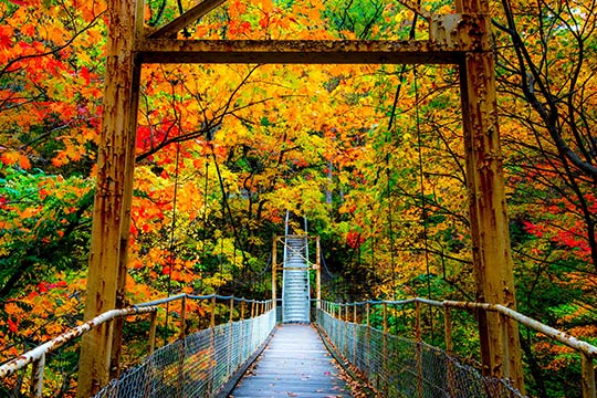秋の花巻温泉郷