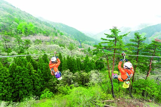 ツリーピクニックアドベンチャーいけだ