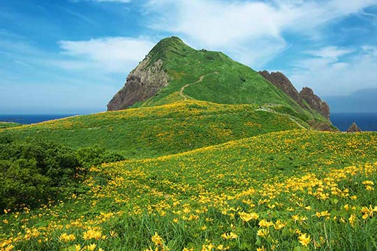 大野亀(おおのがめ)