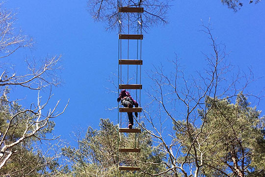 フォレストアドベンチャー・フジ