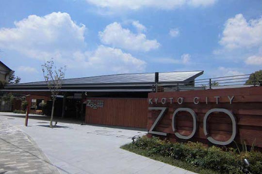 京都市動物園