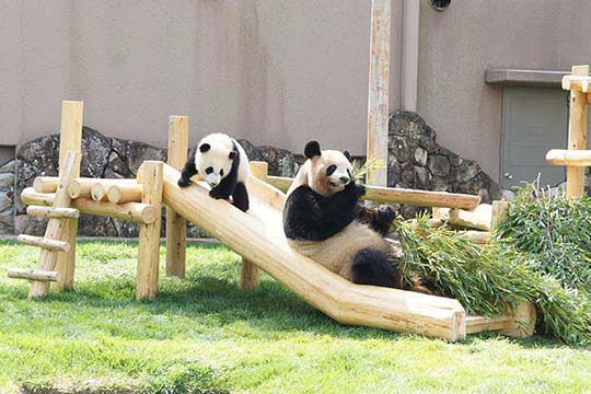 アドベンチャーワールド