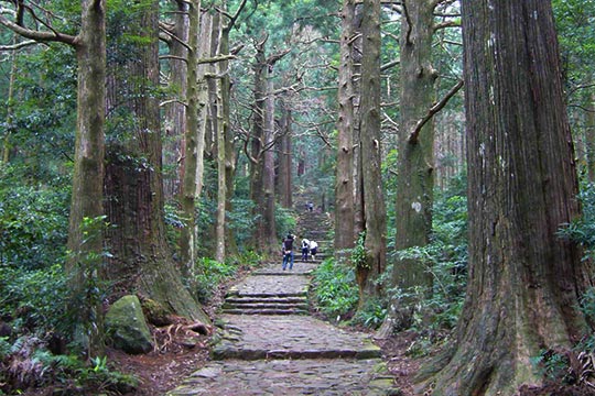 熊野古道 大門坂