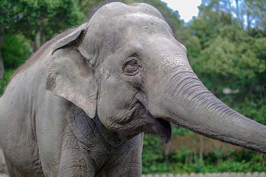 到津(いとうづ)の森公園