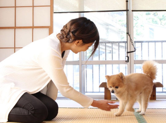 西伊豆　雲見温泉　民宿　浜道楽