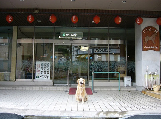いつも一緒　ペットと泊まれる宿　だいこく館