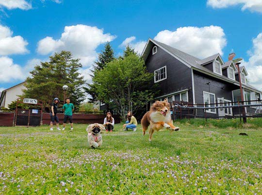 ぺットと泊まれる宿　ゲストハウス　ベルン