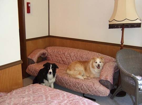 ペンション　ファンファーレクラブ