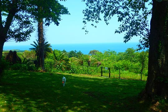 クイール　～ペットと一緒に過ごす宿～