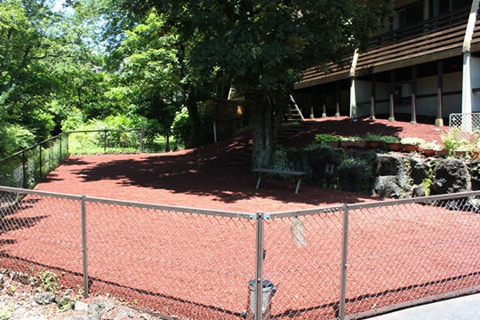 ペットと泊まれる貸別荘　あしあとの杜