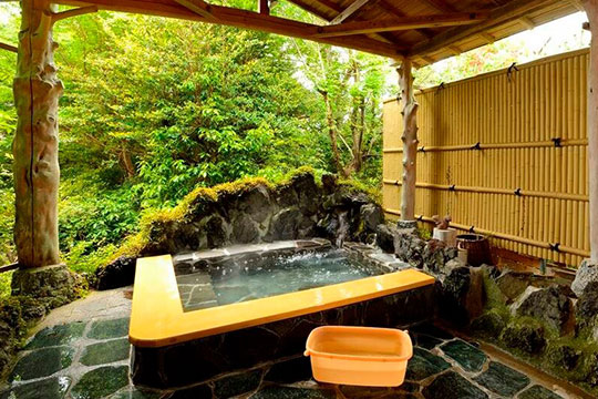 ペットと泊まれる貸切天然温泉の宿　マーフィ