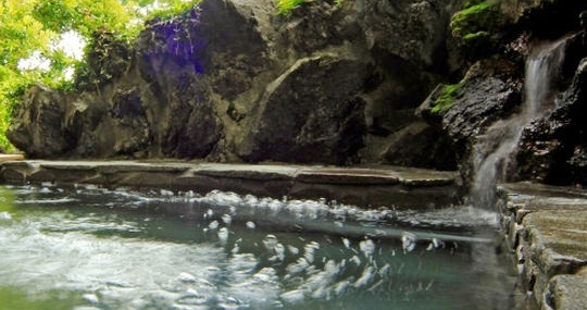 ペットと泊まれる貸切天然温泉の宿　マーフィ