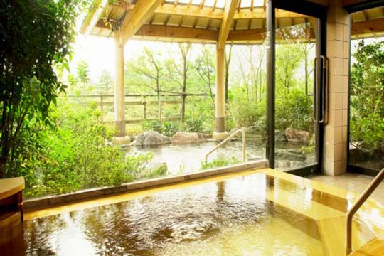 山中温泉　花紫