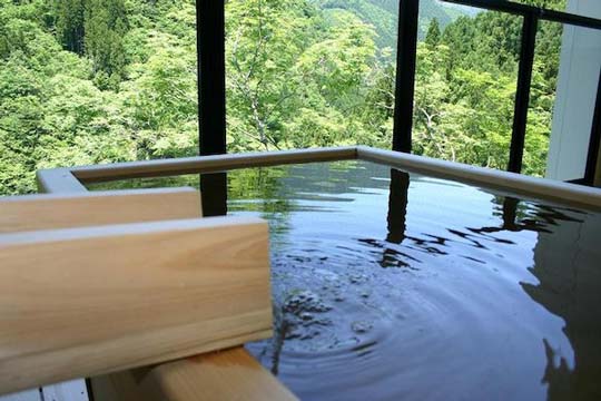 渓谷の隠れ宿　祖谷美人