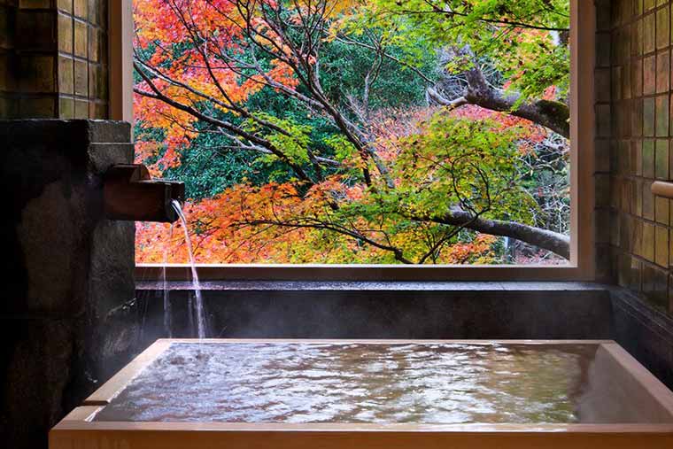 東府やＲｅｓｏｒｔ＆Ｓｐａ－Ｉｚｕ