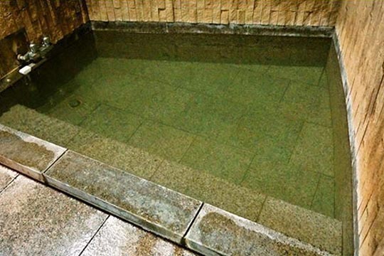 皆生温泉　芙蓉別館