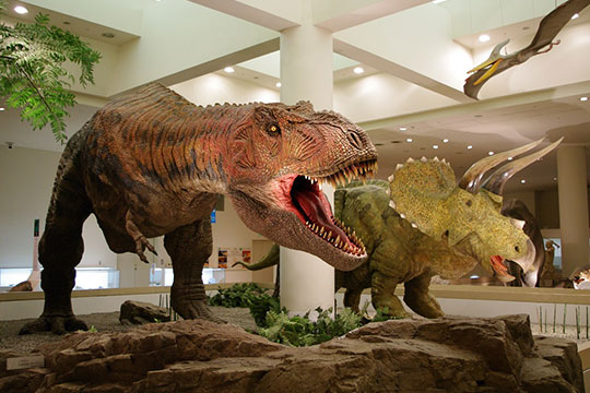 愛媛県総合科学博物館