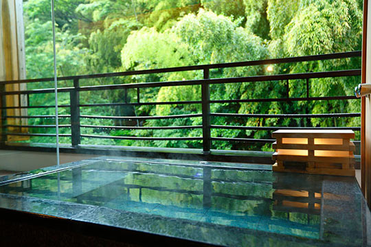 箱根湯本温泉 箱根 花紋