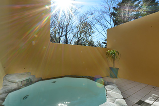 伊豆高原温泉 ペットと泊まれる全室専用露天風呂付 別邸 石の家