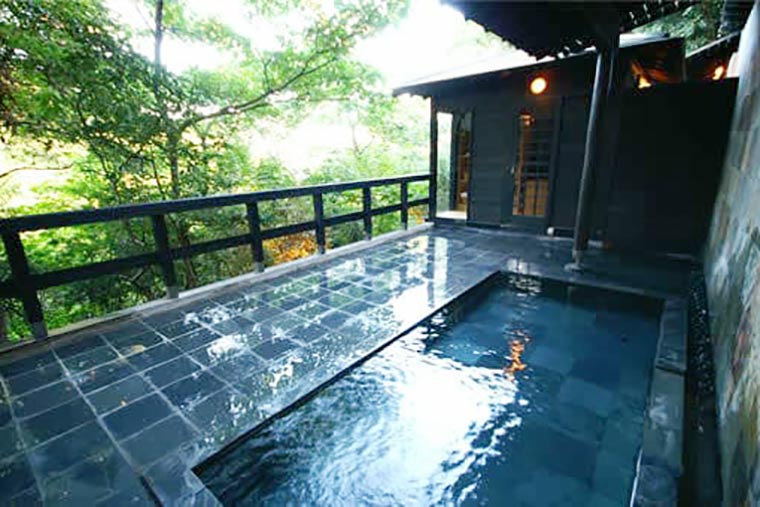 源泉と離れのお宿 月