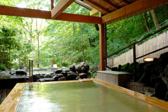 箱根湯本温泉　ホテル南風荘