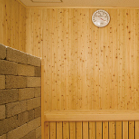 ベイサイドホテルアジュール竹芝・浜松町