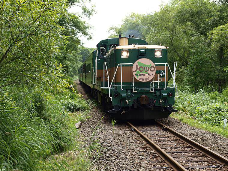 くしろ湿原 ノロッコ号