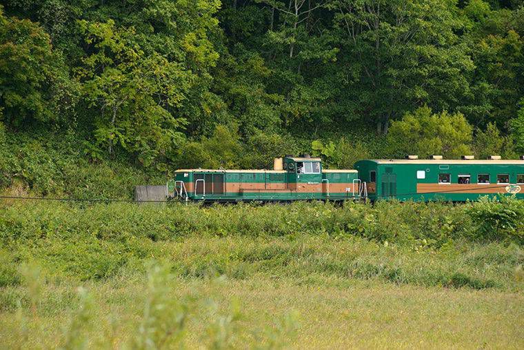 くしろ湿原 ノロッコ号