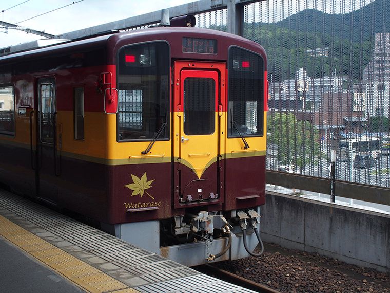 トロッコわたらせ渓谷号、トロッコわっしー号