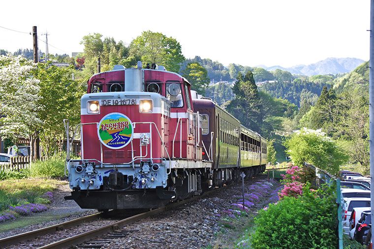 トロッコわたらせ渓谷号、トロッコわっしー号