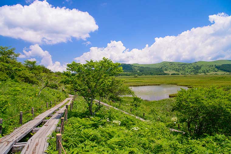 霧ヶ峰・八島湿原