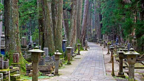 高野山（和歌山県/橋本・高野山）