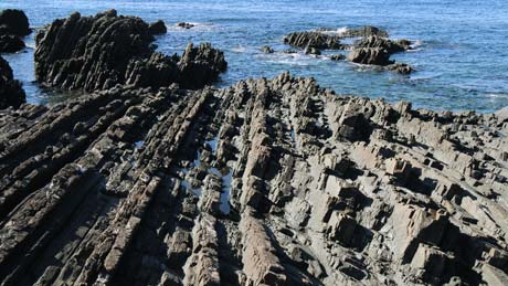 室戸ジオパーク（高知県/安芸・室戸）