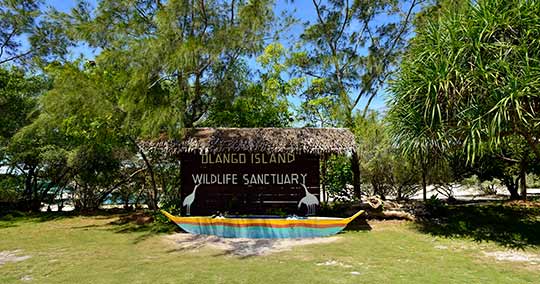 アイランドホッピング