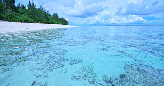 リティディアン・ビーチ