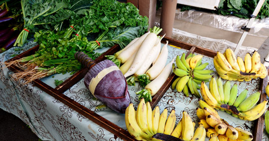 KCCファーマーズマーケット