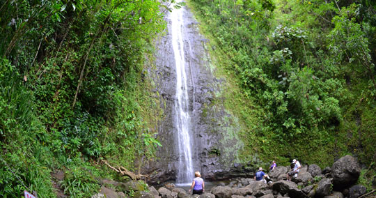 マノアの滝（マノア・フォールズ・トレイル）