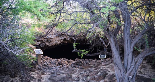 シェルター・ケーブ