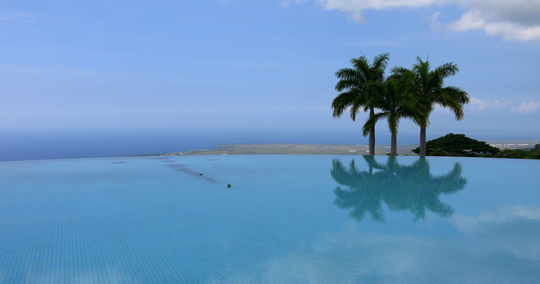 ドトールコーヒー農園「マウカメドウズ 」