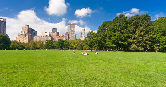 セントラル・パーク