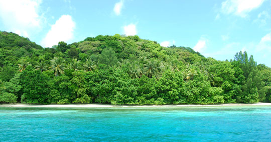 イノキアイランド